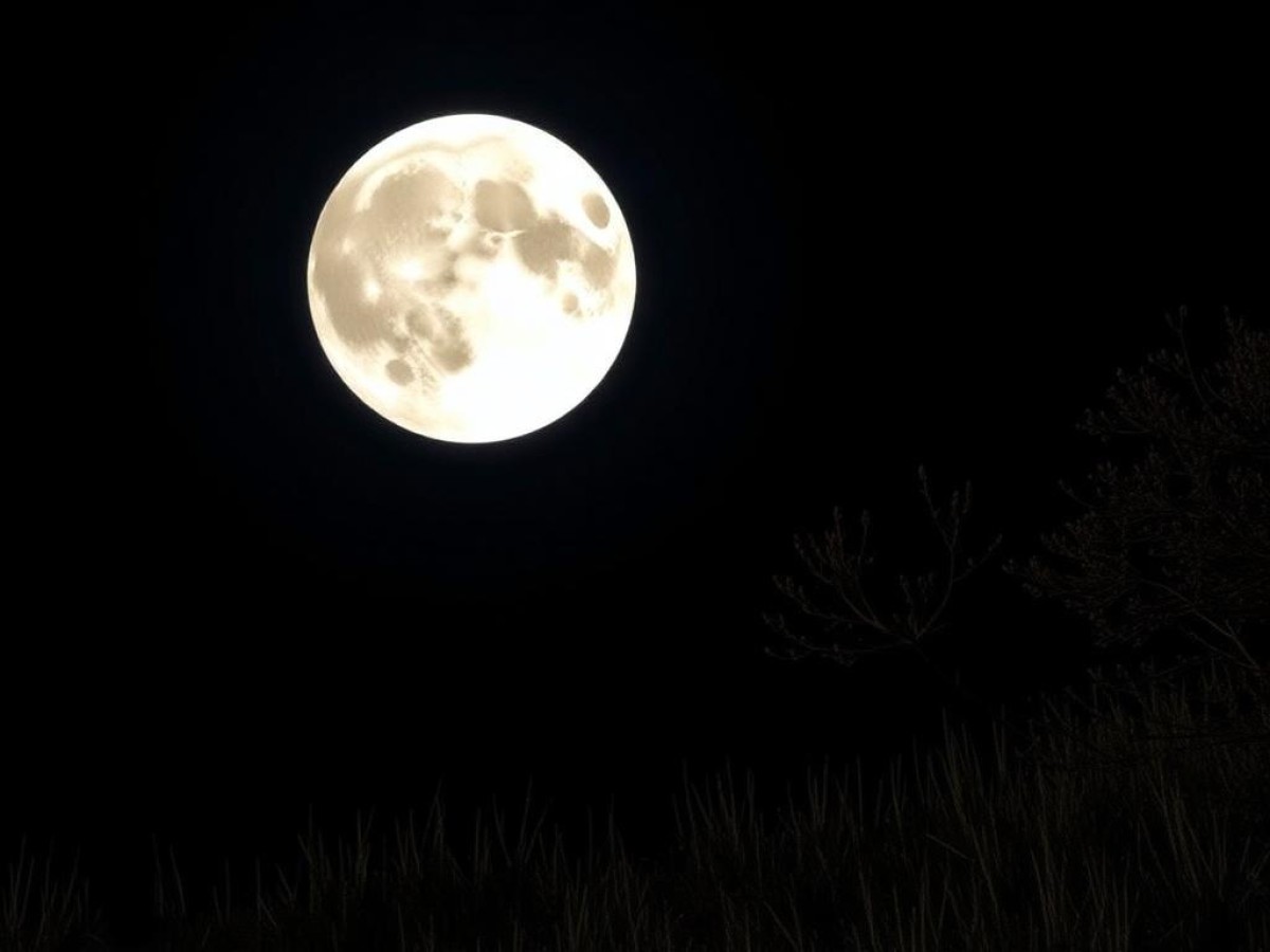 Calendario lunar octubre 2025: ¿cuándo será la primera Luna llena de otoño?