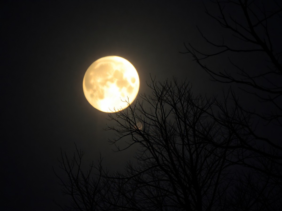 Calendario lunar de febrero 2026: luna llena, eclipse y lluvias de estrellas