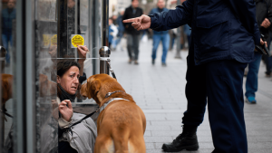 Dejar a tu perro atado a una barandilla o en la puerta del supermercado puede suponer multas de hasta 10.000 euros