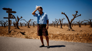 El calor no da tregua: doce comunidades en aviso y cuatro de ellas en alerta naranja