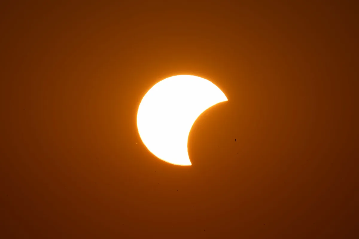 Científicos e instituciones organizando observación pública del eclipse solar