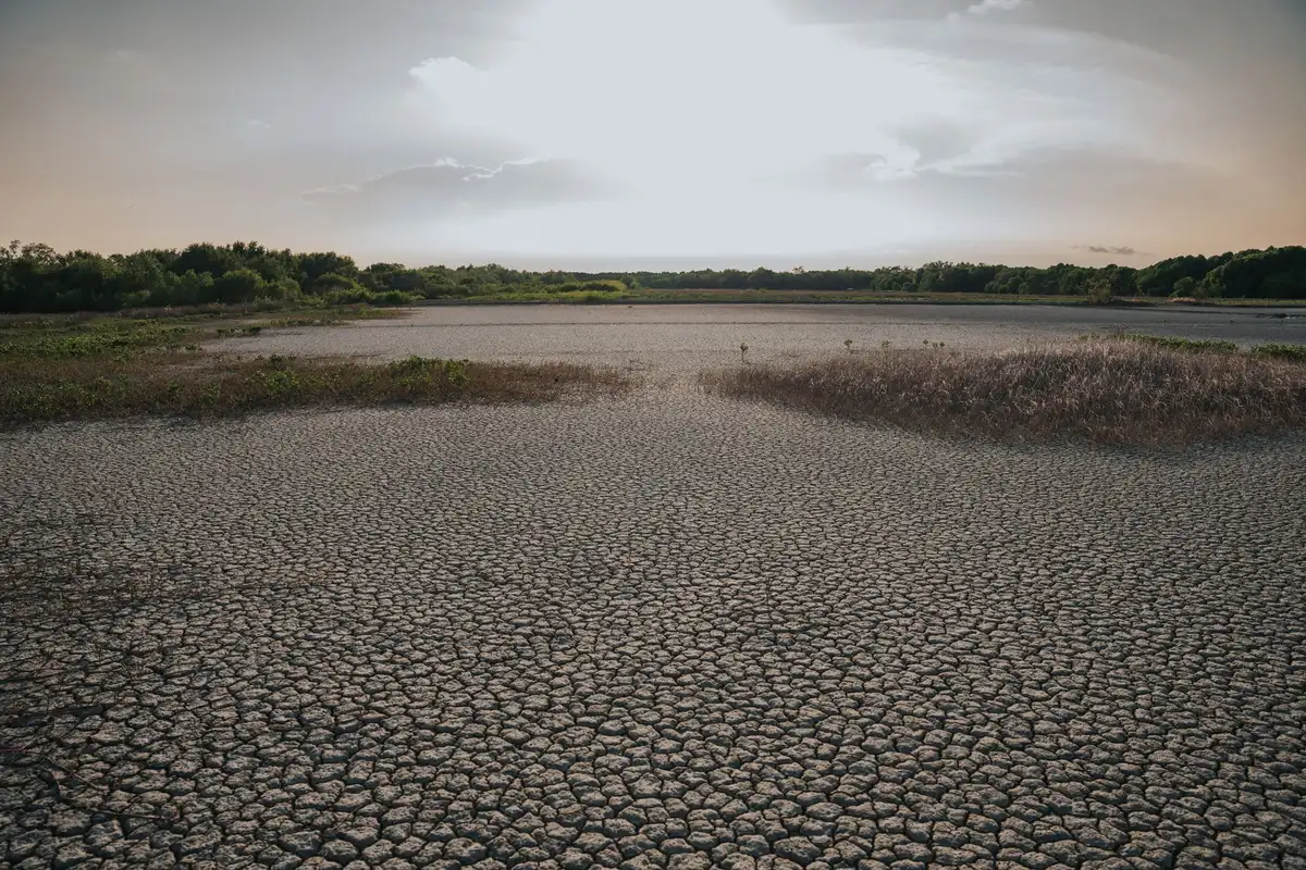 Tierra seca y agrietada en Europa occidental durante sequía por ola de calor prolongada