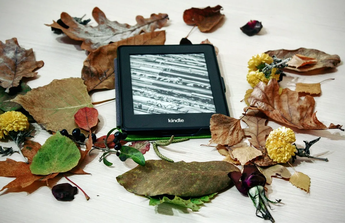 a compact unbranded e-reader device resting on a wooden table, open ebook pages visible on its e-ink screen; no logos or text